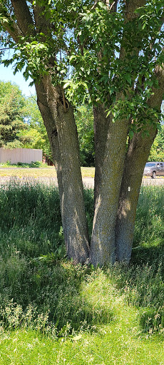 Public Golf Course «Apple Valley Golf Course», reviews and photos, 8661 140th St W, Apple Valley, MN 55124, USA