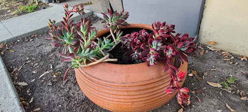 Building Materials Store «Foothill Building Materials», reviews and photos, 133 W Foothill Blvd, Pomona, CA 91767, USA