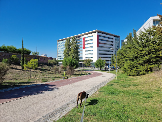 Direção Comercial Santander – Empresas Multinacionais + Lisboa Centro + Grandes Empresas Sul
