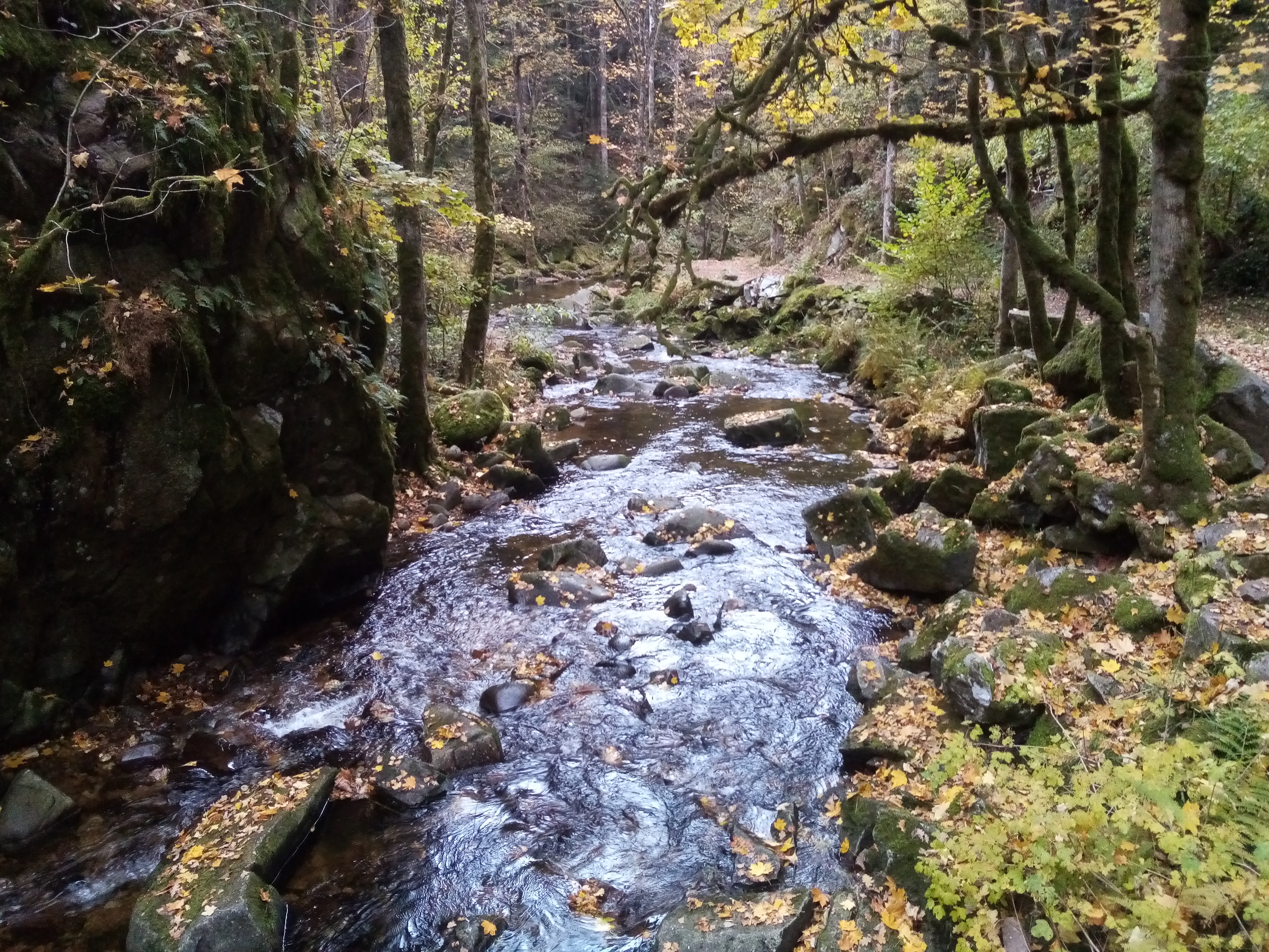 Photo n° 11 de l'avis de Fabrice.u fait le 31/10/2020 à 22:17