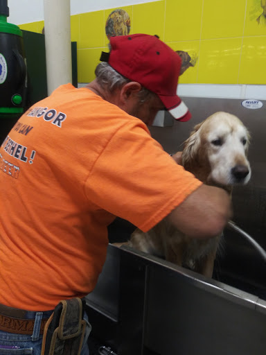 Pet Supply Store «Pet Supplies Plus», reviews and photos, 2433 MacArthur Rd, Whitehall, PA 18052, USA