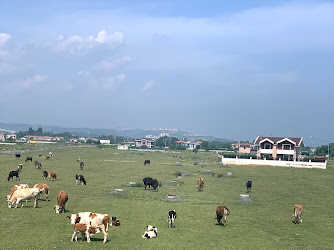 Şile Nuriye Hanım Kız Kur'an Kursu