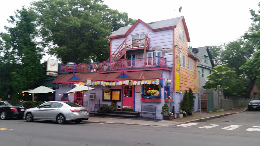 Park «Danehy Park», reviews and photos, 99 Sherman St, Cambridge, MA 02138, USA