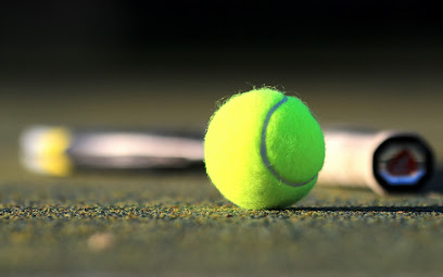 Tennis Dynamics