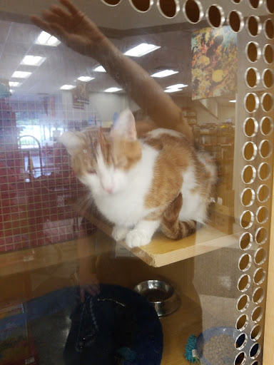 Pet Supply Store «Petco Animal Supplies», reviews and photos, 10060 US Highway 40 G-150, Ellicott City, MD 21042, USA