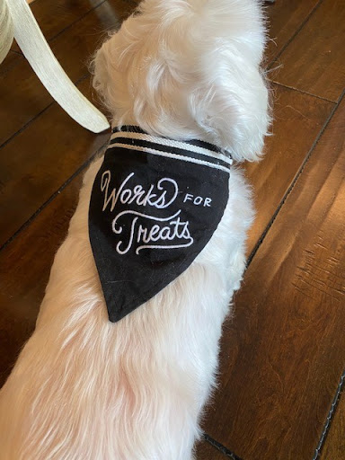 Auto Insurance Agency «State Farm: LeAnn Dodge», reviews and photos