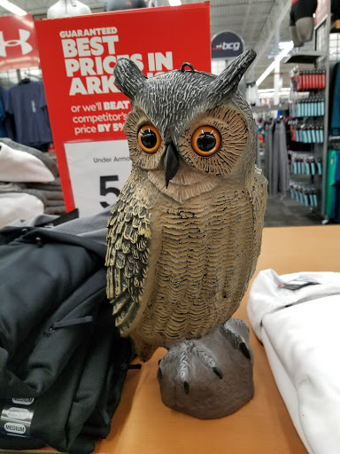 Sporting Goods Store «Academy Sports + Outdoors», reviews and photos, 1260 S Amity Rd, Conway, AR 72032, USA