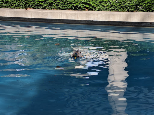 Insurance Agency «AAA», reviews and photos