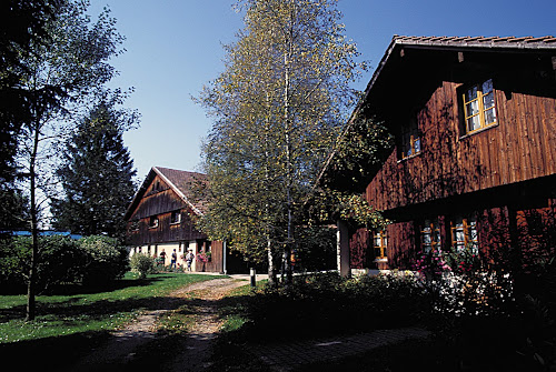 Lodge La Combe d'Abondance - Colonie de vacances - Gite Les Combes