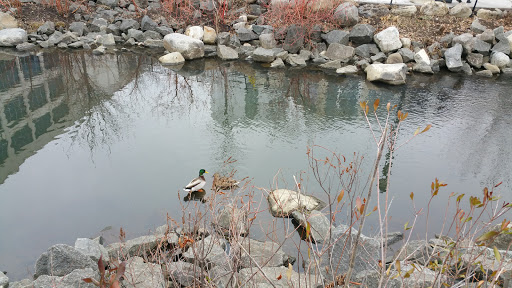 Park «Van Der Donck Park», reviews and photos, 41 Dock St, Yonkers, NY 10701, USA