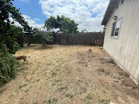 BLUE STAR LANDSCAPING CONSTRUCTION - Photo 5 - Car repair in , Moreno Valley