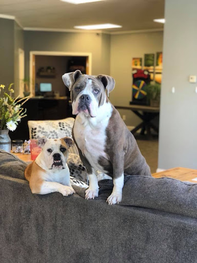 Insurance Agency «Lesa Yoho - State Farm Insurance Agent», reviews and photos