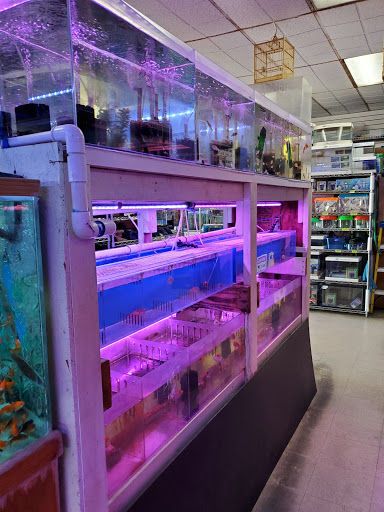 Pet Store «D D Fish & Pets», reviews and photos, 2413 S Fairview St, Santa Ana, CA 92704, USA