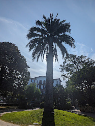 Rond-point du Palmier à Hendaye