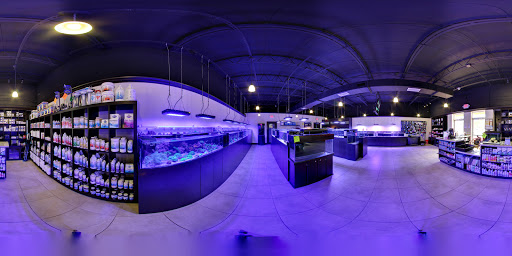 Pet Store «Ocean View Aquariums», reviews and photos, 6883 SW 40th St, Miami, FL 33155, USA