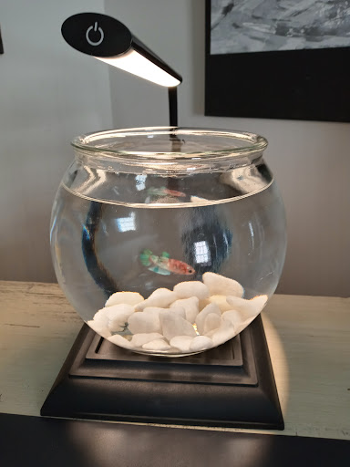 Pet Supply Store «PetSmart», reviews and photos, 4155 Austell Rd, Austell, GA 30106, USA