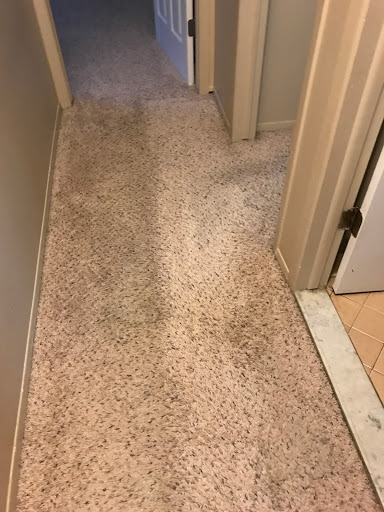 Carpet Cleaning Service «Elite Carpet Cleaning Service», reviews and photos, 29031 Glenarden St, Farmington Hills, MI 48334, USA