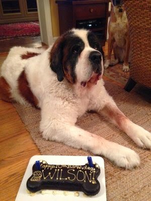 Pet Supply Store «Dogma Bakery», reviews and photos, 2772 S Arlington Mill Dr, Arlington, VA 22206, USA