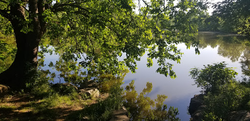 Moving and Storage Service «Main Street Movers», reviews and photos, 708 S 21st St, Irvington, NJ 07111, USA