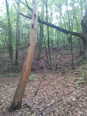 Rocky Mountain Park - photo 31