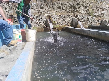 Piscigranja La Virgen