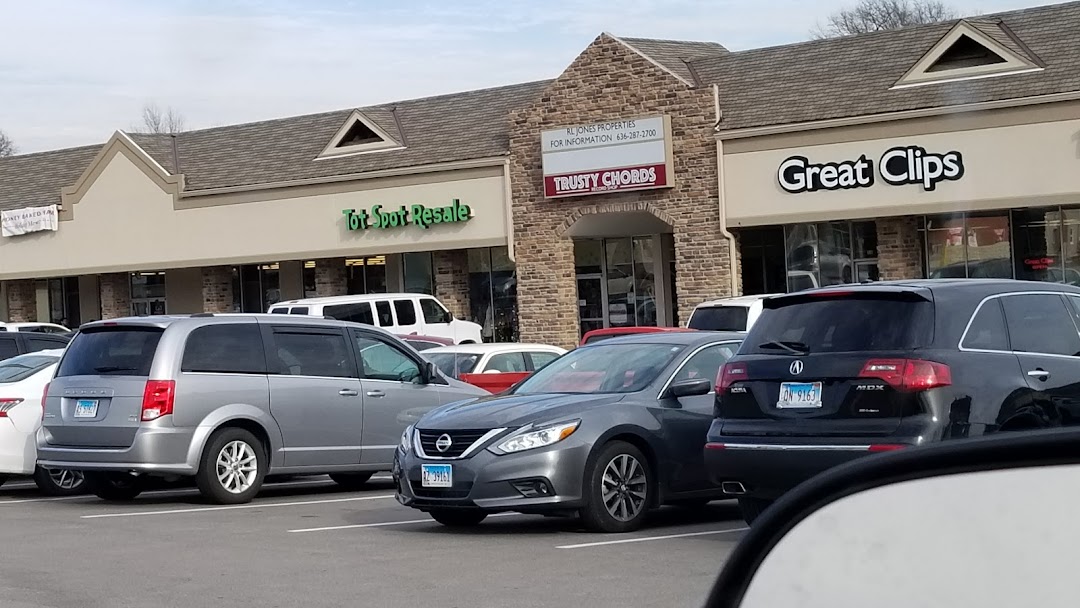 Trusty Chords Record Shop
