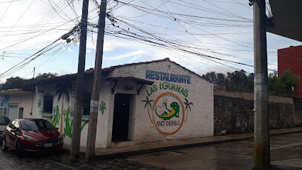 Restaurante las iguanas - Ignacio Zaragoza 20, Centro, 91400 Naolinco de Victoria, Ver., Mexico