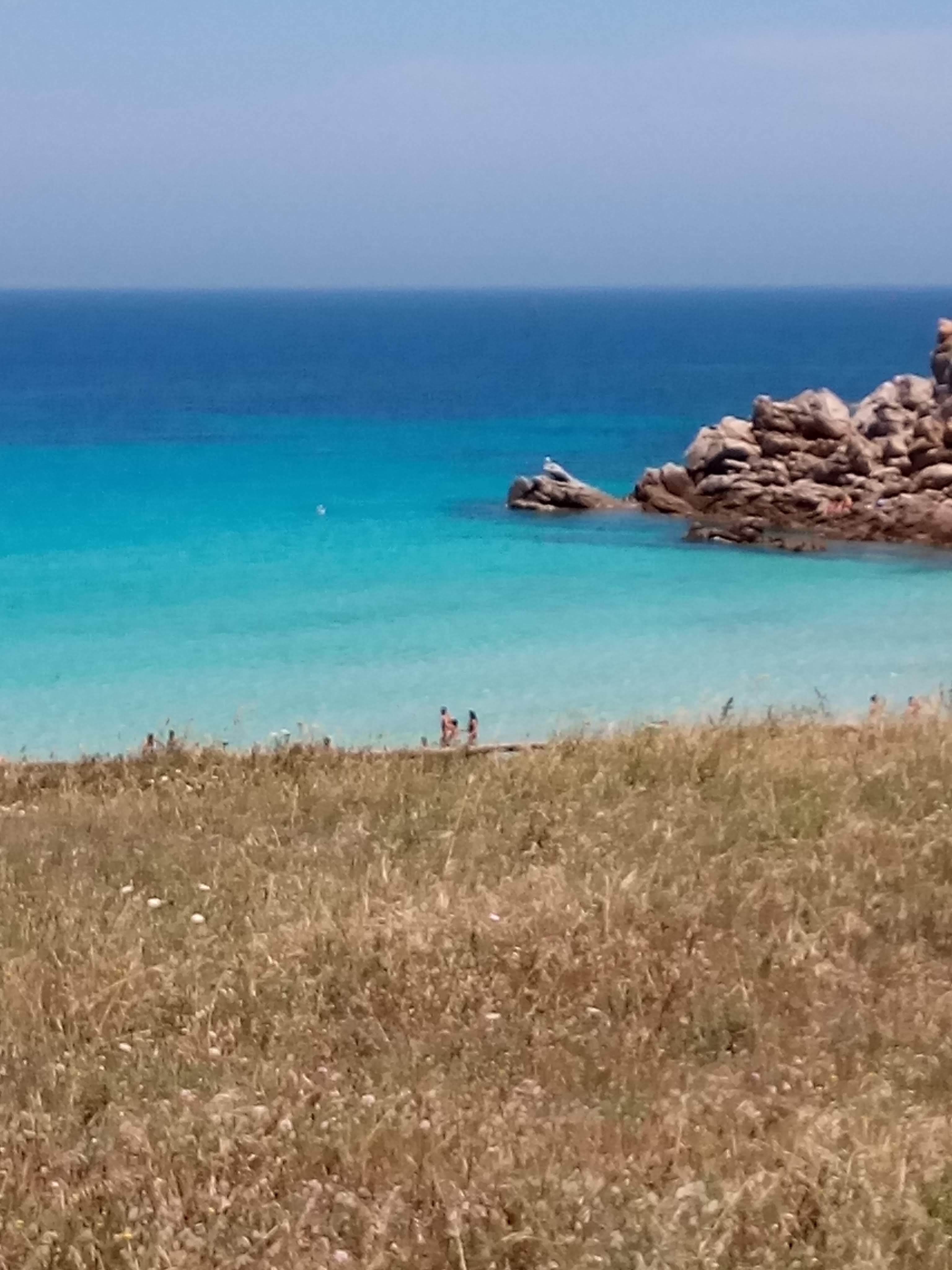 Photo n° 13 de l'avis de Gino.u fait le 16/07/2019 à 09:15