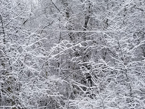 Golf Club «ThunderHawk Golf Club», reviews and photos, 39700 N Lewis Ave, Beach Park, IL 60099, USA