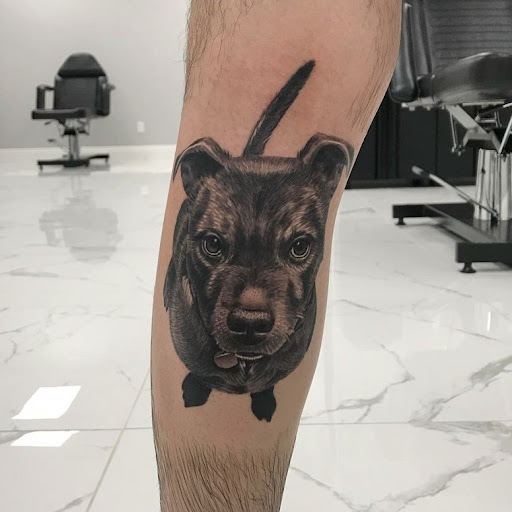 Book Store «Trents Bookshelf», reviews and photos, 8139 Elk Grove Blvd, Elk Grove, CA 95758, USA