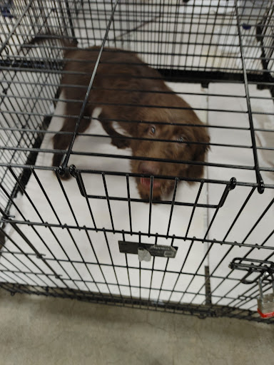 Pet Store «Pet World - Auburndale», reviews and photos, 3637 Havendale Blvd, Auburndale, FL 33823, USA