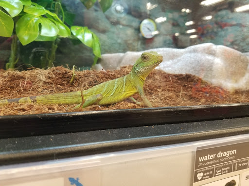 Pet Supply Store «Petco Animal Supplies», reviews and photos, 2000 NE Burnside Rd, Gresham, OR 97030, USA