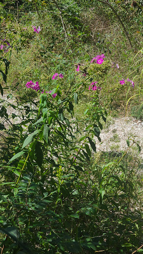 Nature Preserve «Nature Center of Cape May», reviews and photos, 1600 Delaware Ave, Cape May, NJ 08204, USA