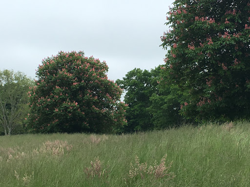 Public Golf Course «River Bend Country Club», reviews and photos, 250 E Center St, West Bridgewater, MA 02379, USA