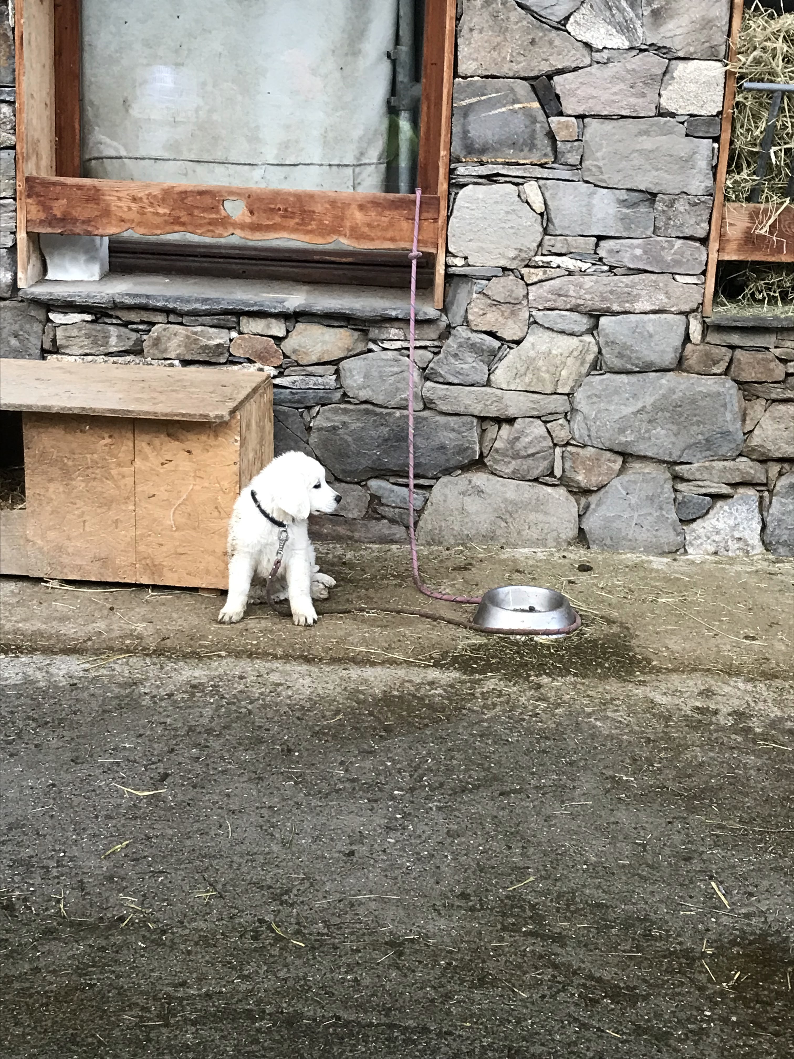 Photo n° 3 de l'avis de Vanessa.. fait le 21/08/2018 à 06:05