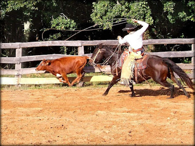 Jnr ranch à Champniers-et-Reilhac