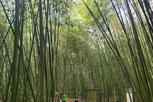 Taehwagang National Garden image