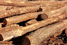 Vidal Bois - Livraison de bois dans l'Hérault Courniou