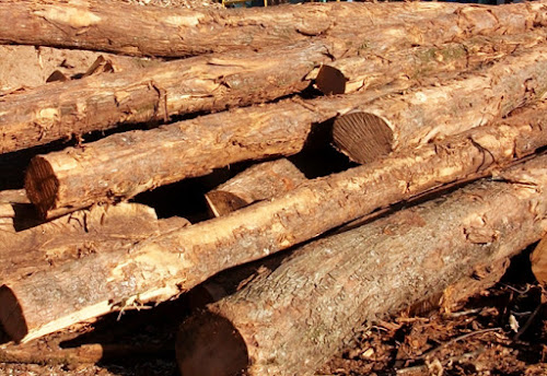 Vidal Bois - Livraison de bois dans l'Hérault à Courniou