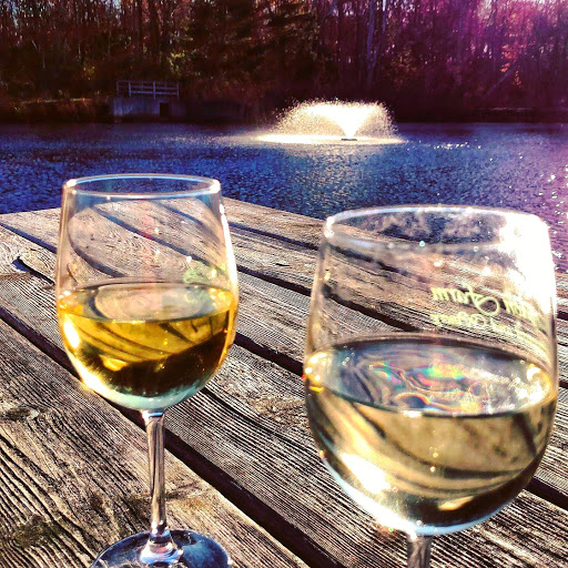 Winery «Leyden Farm Vineyard & Winery», reviews and photos, 160 Plain Meeting House Rd, West Greenwich, RI 02817, USA