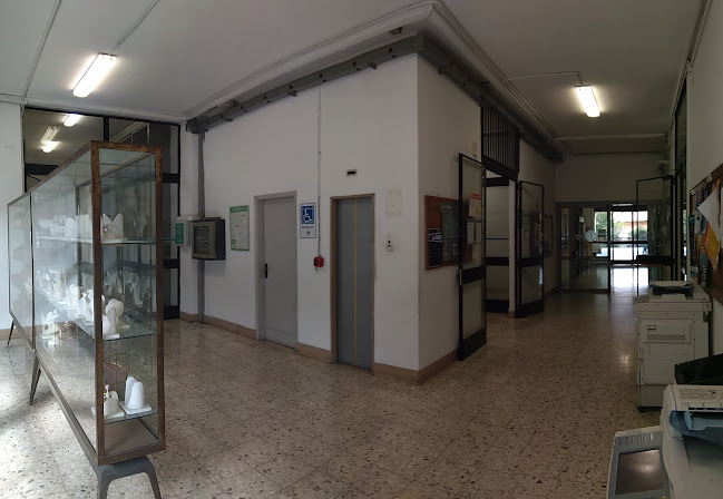 Dipartimento di Matematica e Informatica "Ulisse Dini" - Università degli Studi di Firenze - Firenze