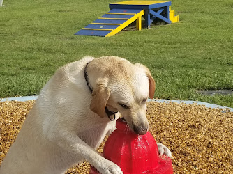 Pieloch Dog Park