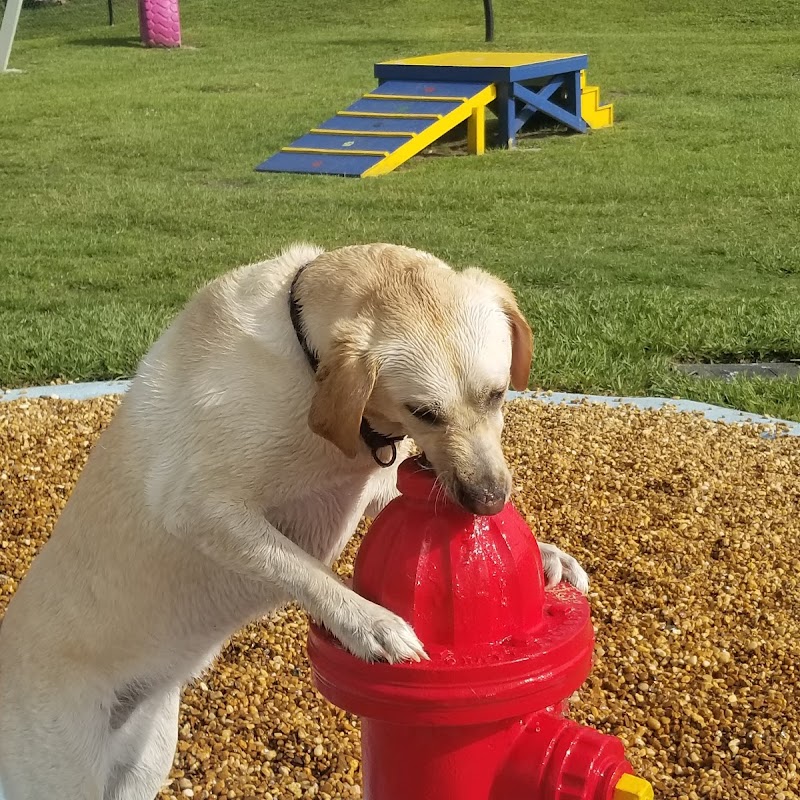 Pieloch Dog Park