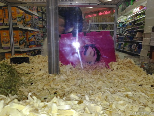 Department Store «Marshalls», reviews and photos, 100 Independence Way, Brewster, NY 10509, USA