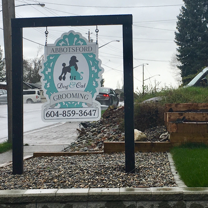 Abbotsford Dog & Cat Grooming