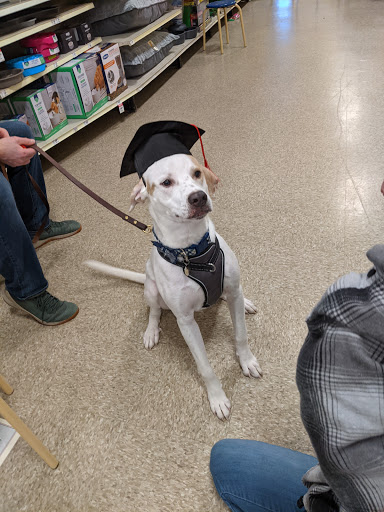 Pet Supply Store «PetSmart», reviews and photos, 5 Main St, East Hartford, CT 06118, USA