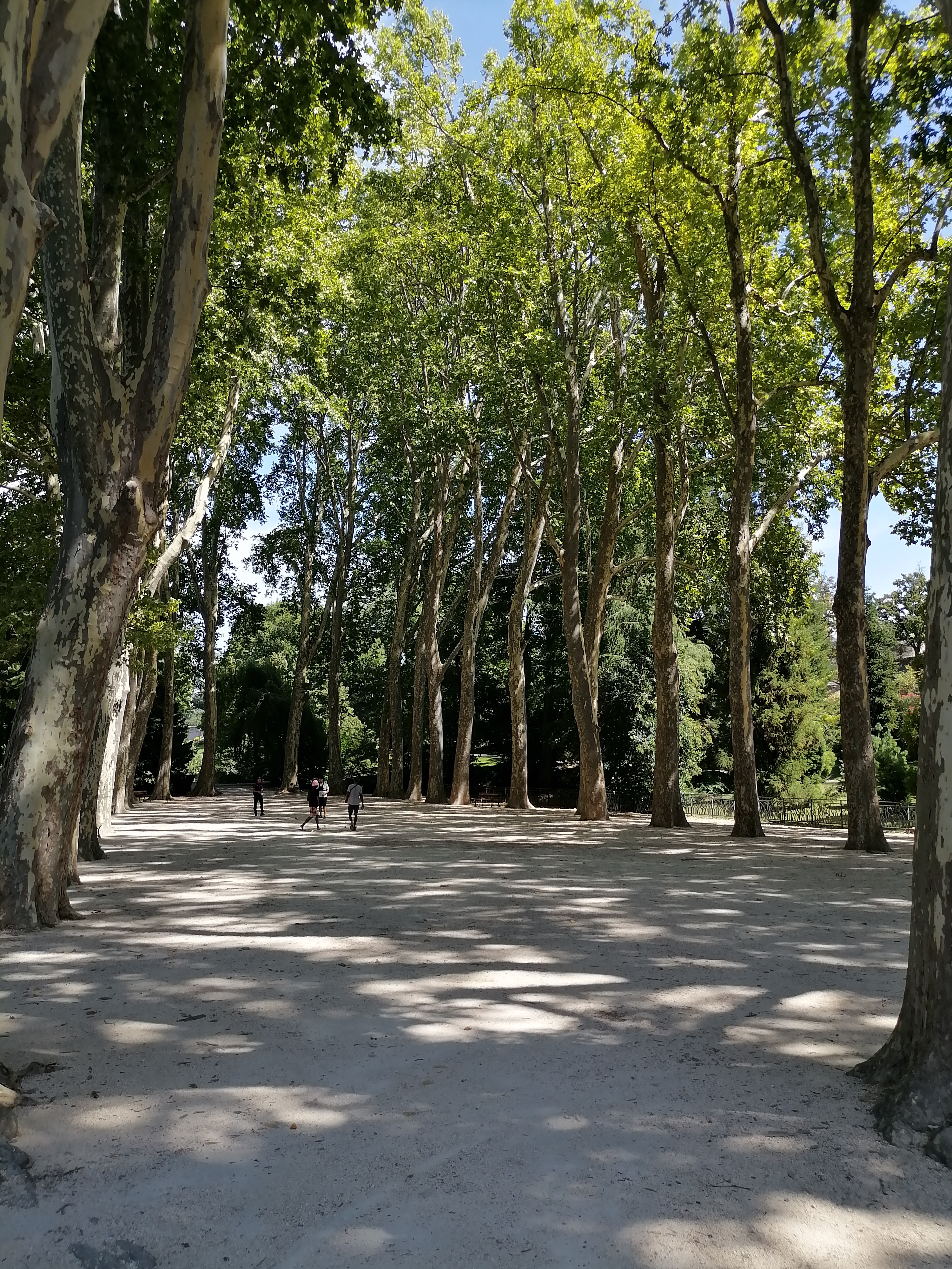Photo n° 2 de l'avis de Patrick.a fait le 24/08/2023 à 16:03