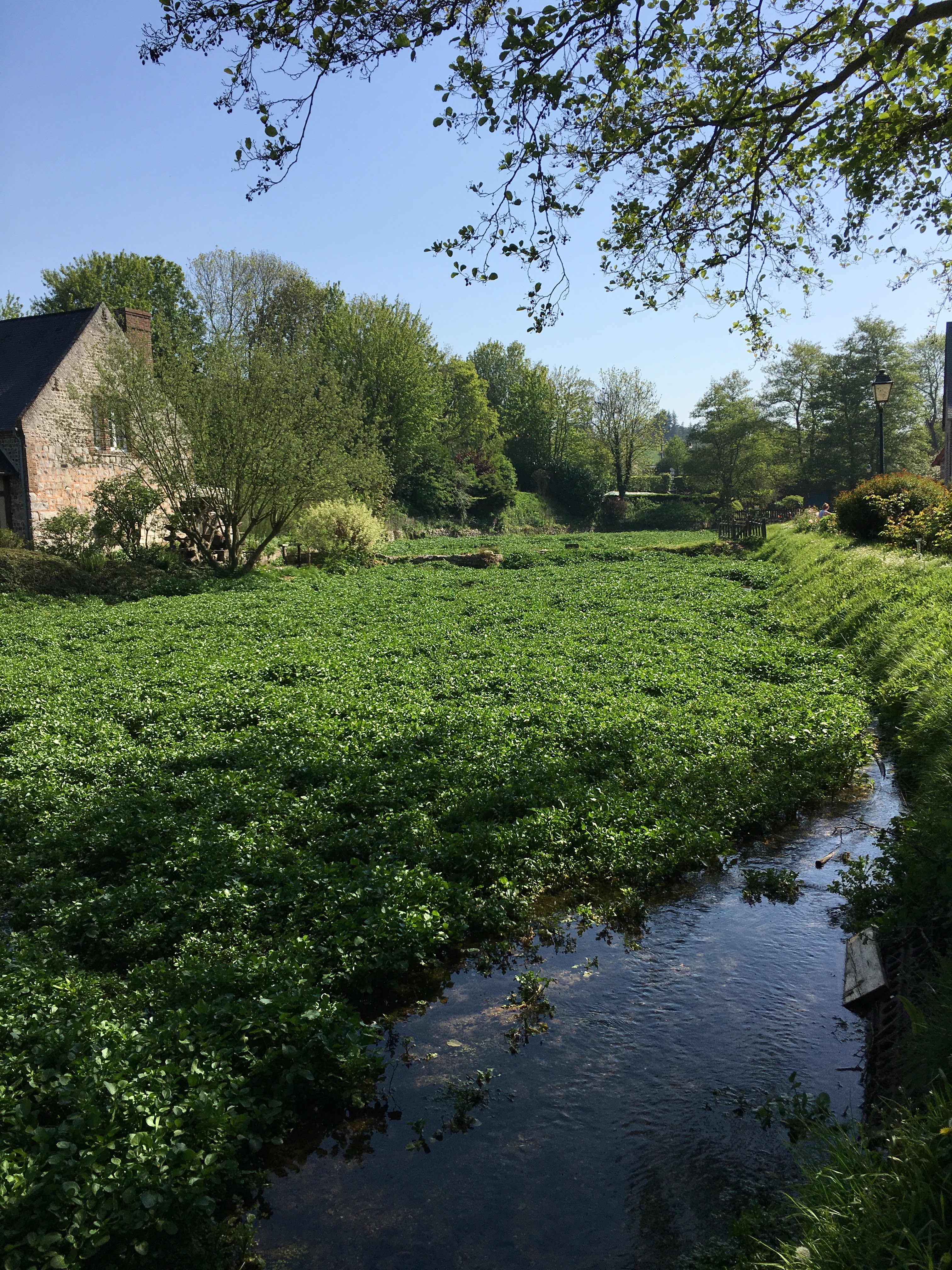Photo n° 1 de l'avis de Rudisteanu.o fait le 08/05/2018 à 17:07