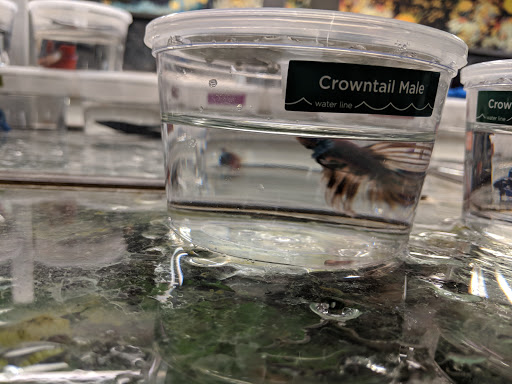 Pet Supply Store «Petco Animal Supplies», reviews and photos, 1111 US-46, Parsippany, NJ 07054, USA