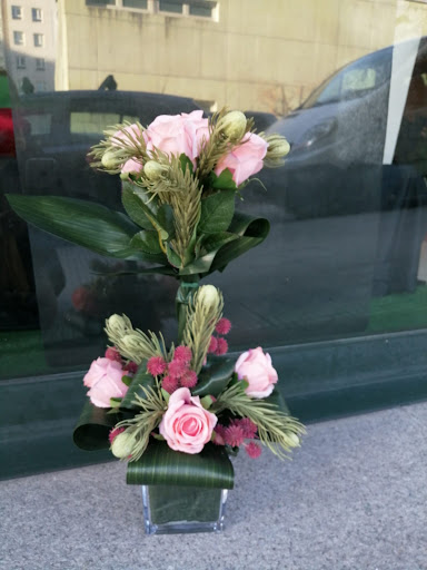 Rosa